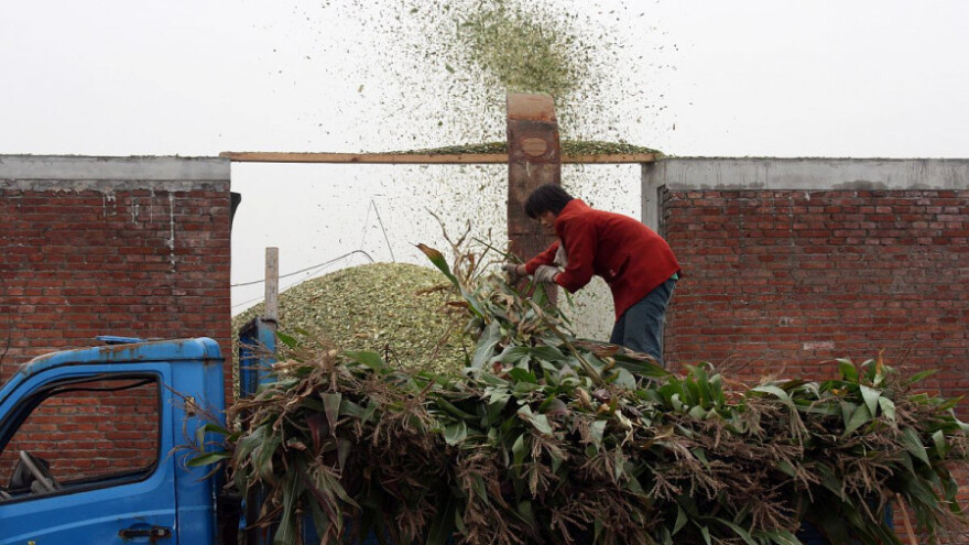 Kako do dobre silaže