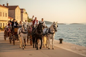 Sedam lipicanaca za sedam Kaštela