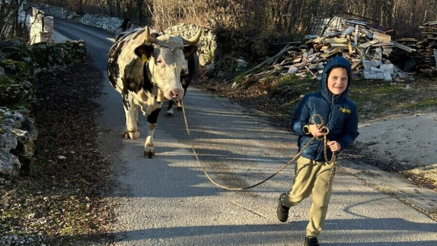 Ivan (7): Imat ću farmu i svi će dolaziti po mlijeko kod mene, a Mrkova će biti šefica