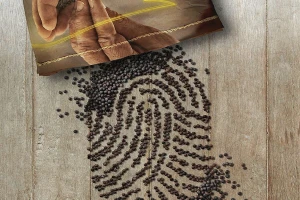 DEKALB saveti za uspešnu setvu uljane repice