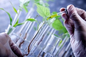LabPlant - "in vitro" voćne sadnice
