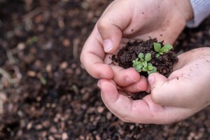 Objavljen je natječaj za tip operacije 19.3.1. Priprema aktivnosti projekata suradnje