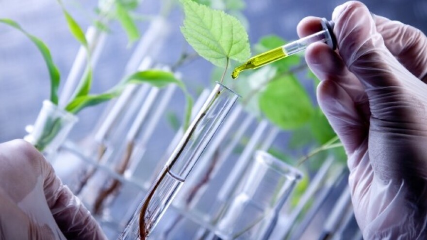 LabPlant - "in vitro" voćne sadnice