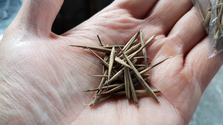 Razmjena sjemena u Narodnoj i univerzitetskoj biblioteci RS