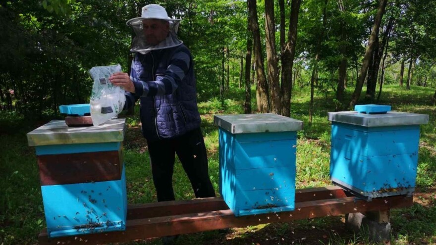 Moguće ugibanje pčelinjih zajednica od gladi - prihranite ih