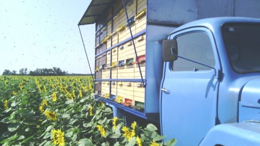 Tko radi kao pčela - postiže velika djela!