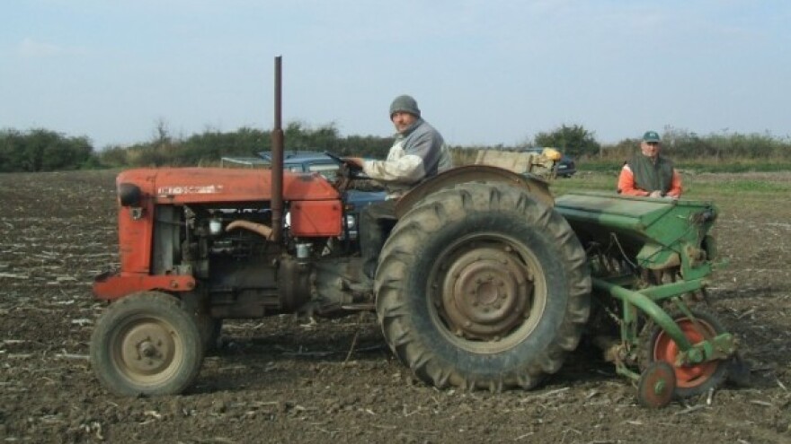 Kiša usporila setvu pšenice u Sremu