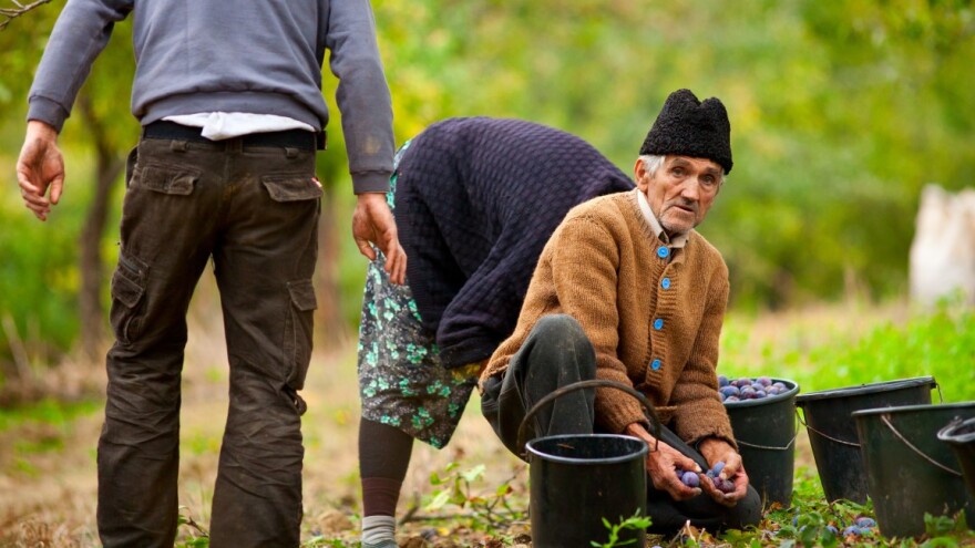 Autoriteti srpske poljoprivede - koga seljaci (ne)rado slušaju?