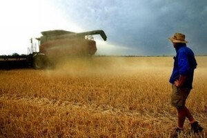IPARD program za Mjere 301 i 302