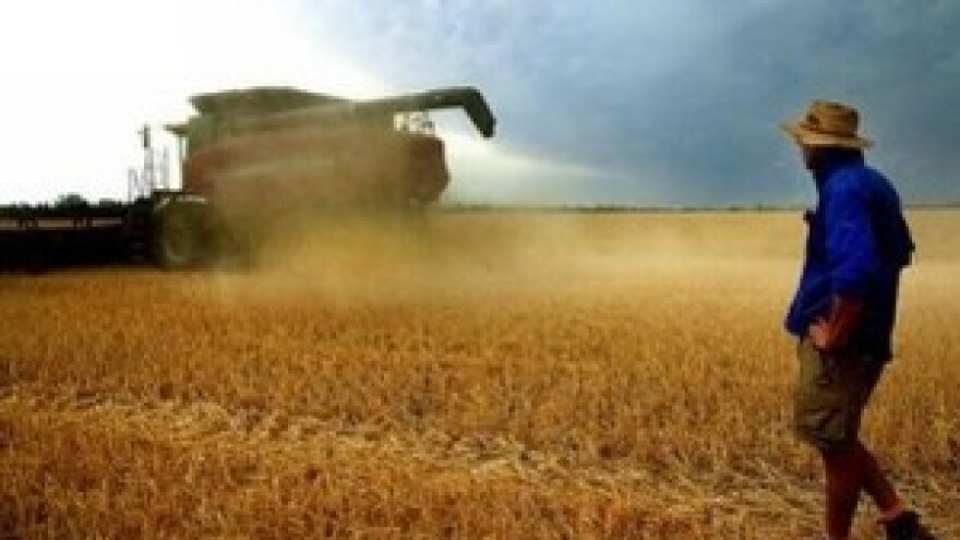 IPARD program za Mjere 301 i 302