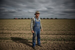 Seljačka buna na europski način