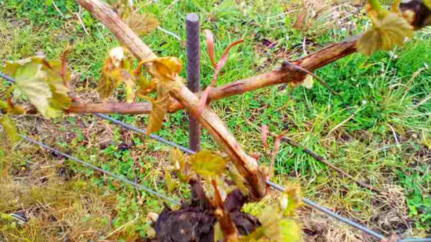 Proglasite elementarnu nepogodu za cijelu FBiH!