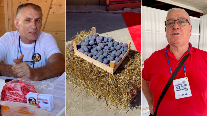 Od halve, preko suhog mesa do ljutih paprika: "Ima svega u Gradačcu"