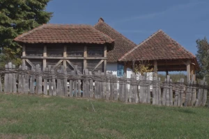Poljoprivredna anketa: Mešovita proizvodnja i dalje dominantna u selima