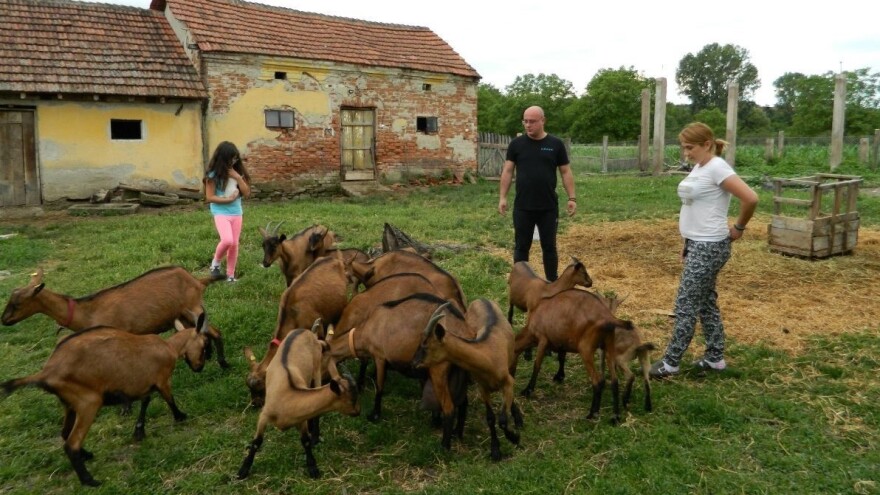 Stefan Vuk Milanović: Naša ideja je ekonomski samoodrživ sistem