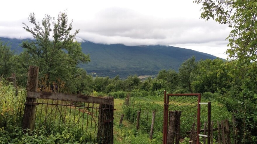 Sve veća želja mladih Beograđana da se bave poljoprivredom i vrate selu