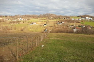 Proširena porodica ili noćna mora?