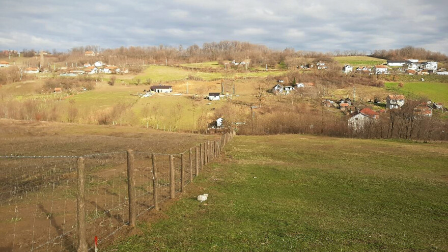 Proširena porodica ili noćna mora?