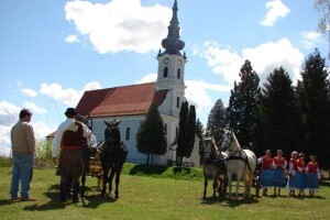Razvijaju poljoprivredu kroz šest mjera i AgroStart subvencionirani najam plastenika