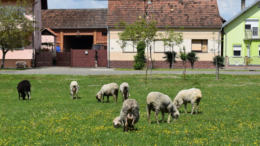 Kompenzacija za poljoprivrednike čija su mjesta lani izgubila status područja s ograničenjima