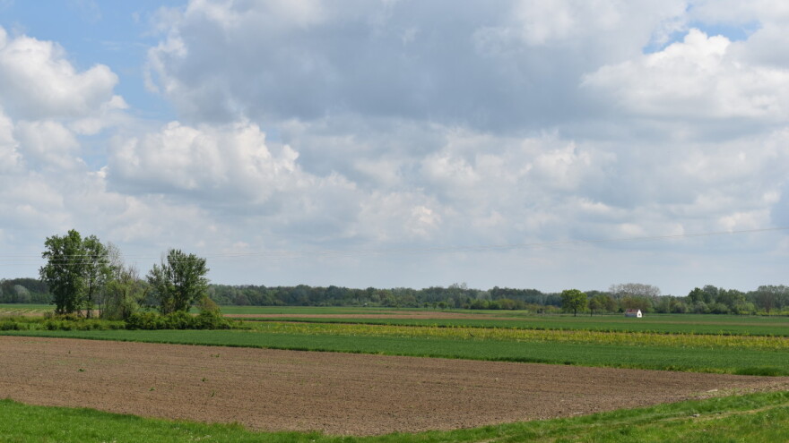 U narednom periodu promenljivo vreme, na repištima primećena repina pipa