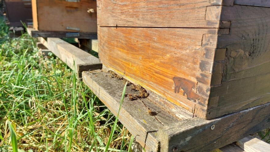 Koje radove treba obaviti u pčelinjaku tokom februara?