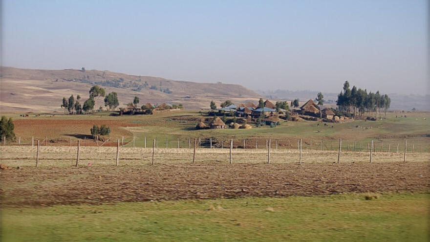 Moderna poljska poljoprivreda zahvaljujući EU