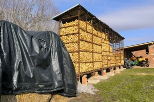 Iz minusa u plus: U sedmici pred nama stiže zatopljenje