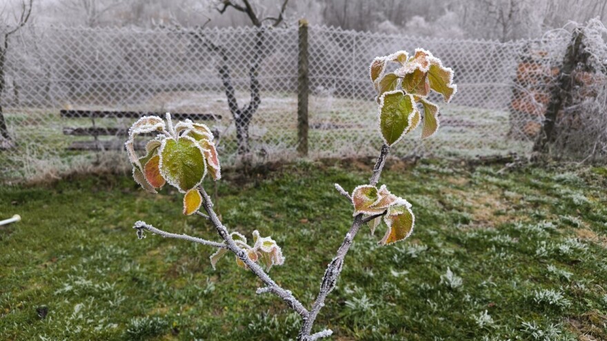 Zimske temperature, ali bez snijega do kraja januara