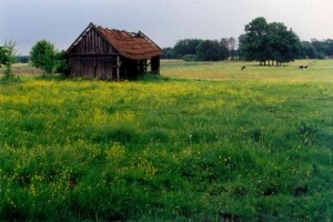 Cesta zlatne niti bilježi prve uspjehe