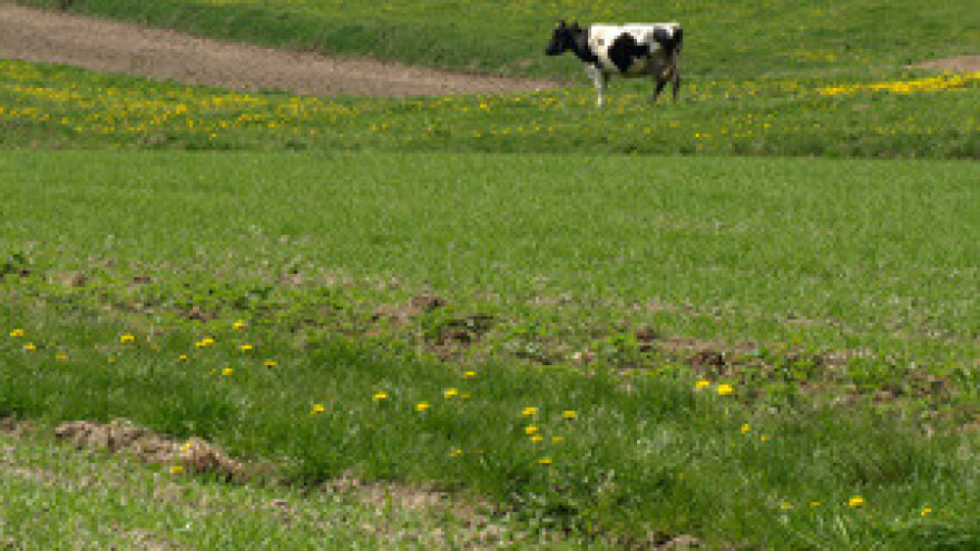 Mjerom 302 do pola milijuna kuna