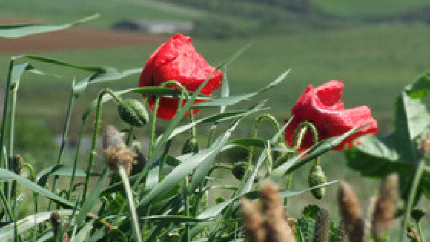 Sekcija - nov poticaj razvoju seoskog turizma