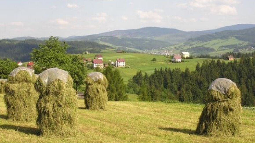 Turistima vratili vrijeme kad se žito kosom kosilo
