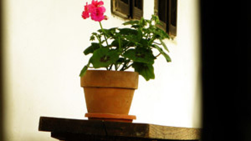 Šokačka dobrodošlica turistima u Gajiću