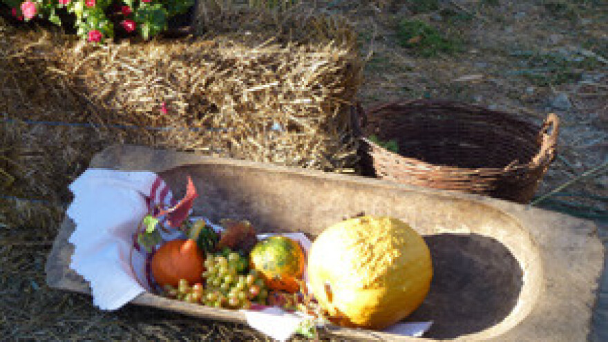 Danas zadnji dan za prijavu mjere 302 IPARD programa