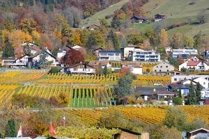Sredstva ruralnog razvoja za općine i gradove