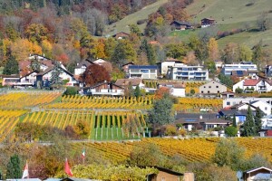 Sredstva ruralnog razvoja za općine i gradove