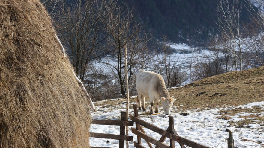 U Lici bi moglo i zasniježiti