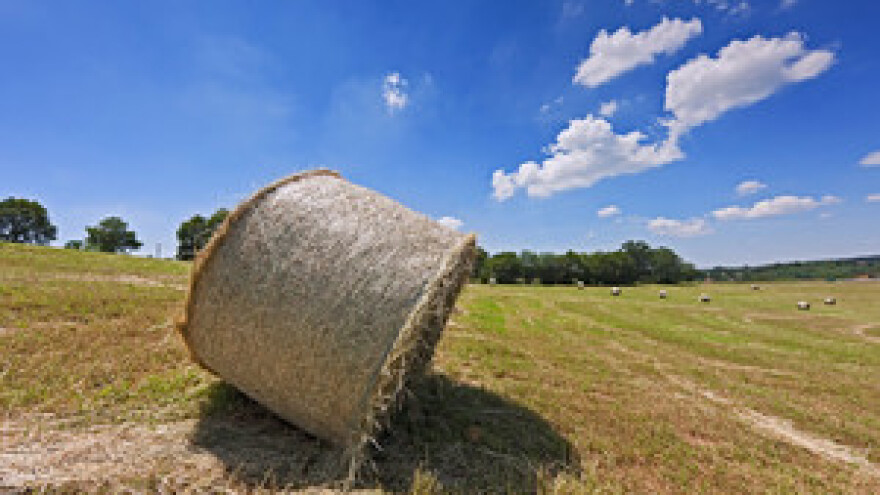 Hrvatsko selo bi moglo ostati bez 333 milijuna eura