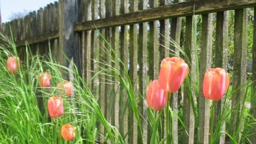 Drugi Varaždinski sejem zdrave i izvorne hrane