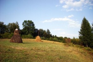 Vlada odustaje od “Preporoda hrvatskog sela”