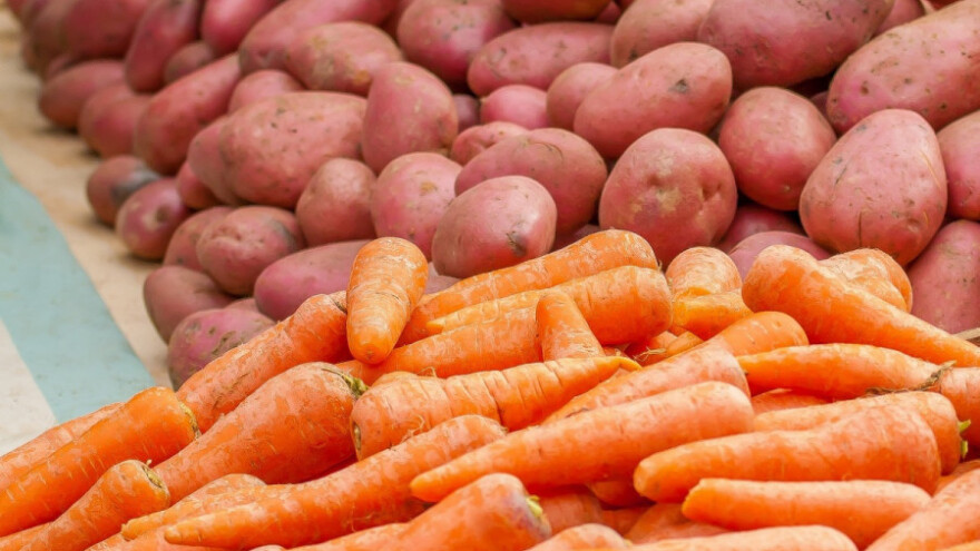 "Semberka" otkupljuje povrće, proizvođači zadovoljni