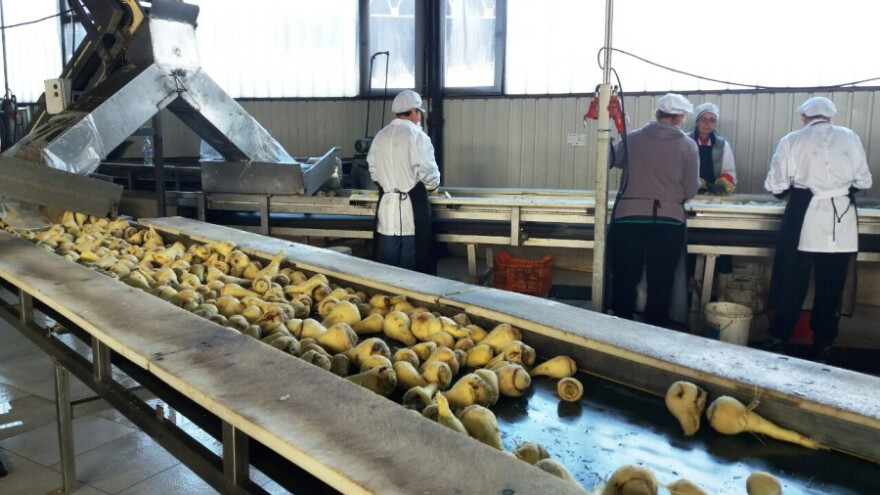 U Semberki se opet prerađuje sušeno povrće