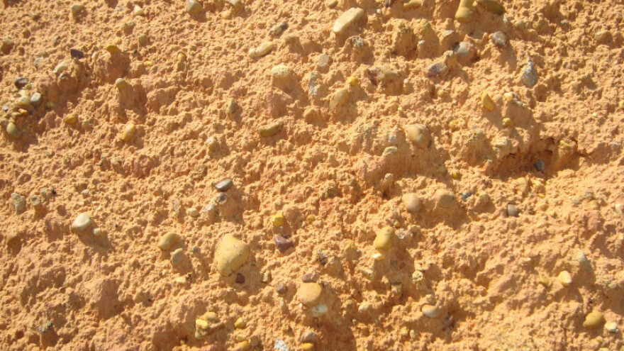 Priprema semialuvijalnih tala za sjetvu uljane repice