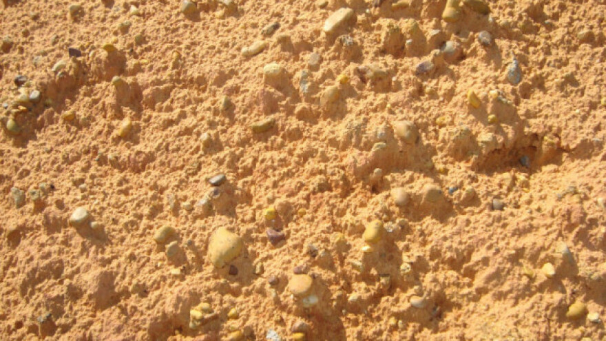 Priprema naplavnog tla za sjetvu uljane repice