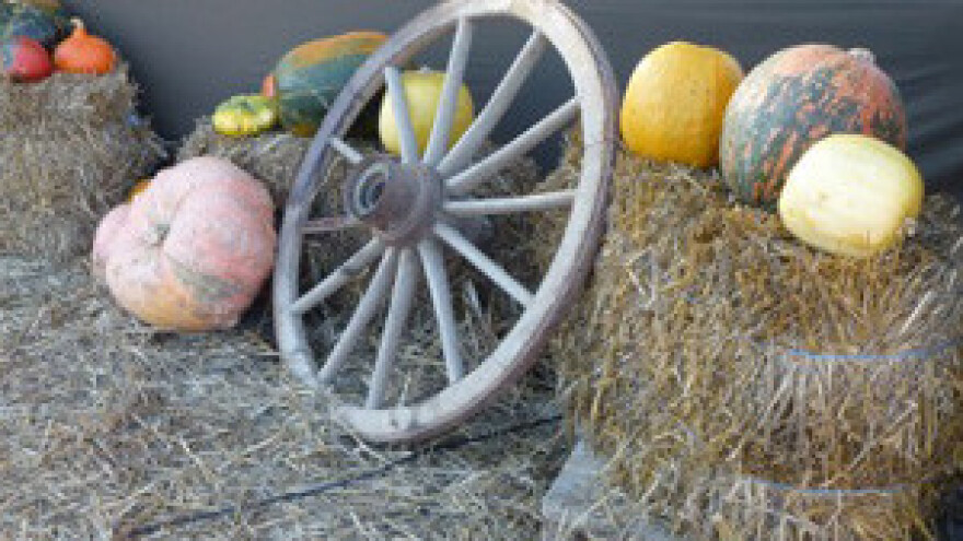 Seminar o turizmu na seljačkim gospodarstvima i ruralnom turizmu