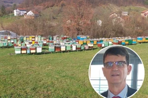 Hodžić: Želimo da bh. pčelari budu dio evropskog saveza, mnogi su benefiti