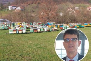 Hodžić: Želimo da bh. pčelari budu dio evropskog saveza, mnogi su benefiti