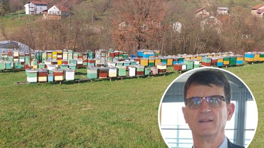 Hodžić: Želimo da bh. pčelari budu dio evropskog saveza, mnogi su benefiti