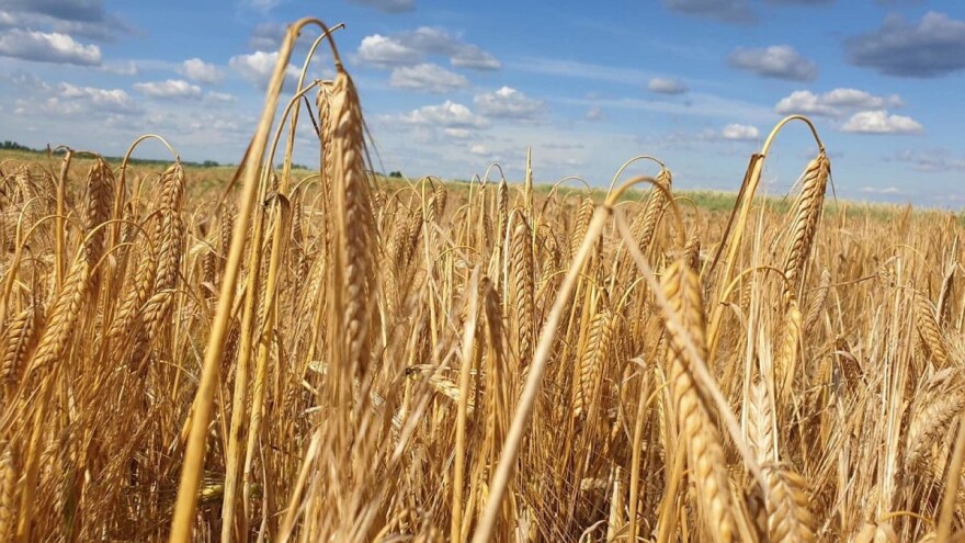 Predložen novi proračun EU: Za ZPP 55,2 milijarde eura